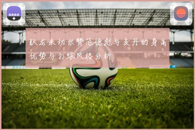 狄龙米切尔赞范德彪与麦丹的身高优势与打球风格分析